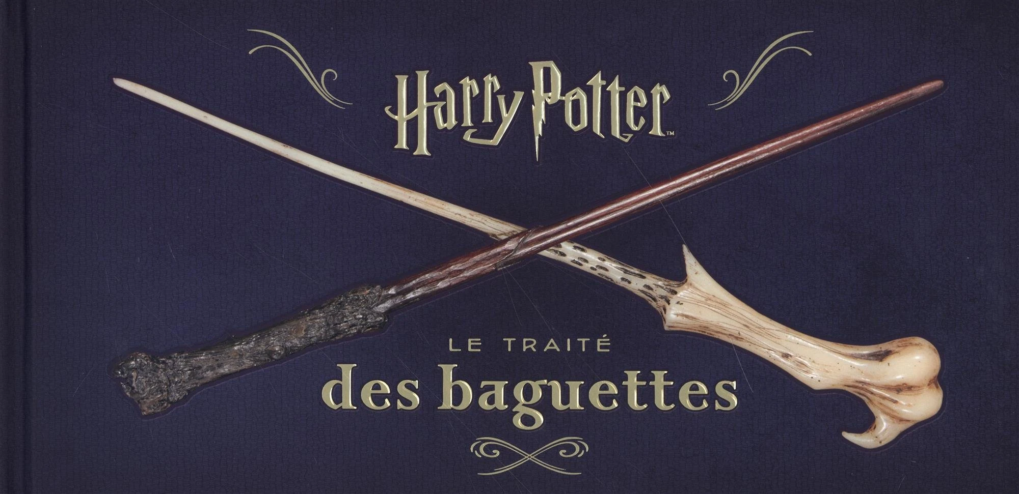 Harry Potter Le Traité des baguettes Wiki Harry Potter Fandom