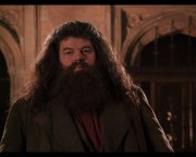 Hagrid do azkabanu!