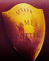 HP1 James Potter's reward