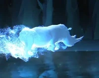 Rhinoceros-patronus