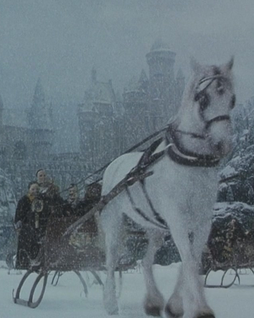 Hogwarts Horse Band Harry Potter Wiki Fandom