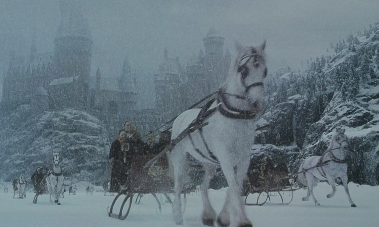 Hogwarts horse band Harry Potter Wiki FANDOM powered by Wikia