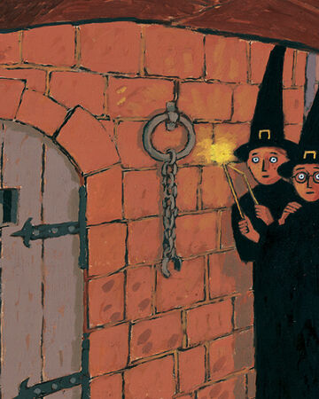 Harry Potter Et La Chambre Des Secrets Wiki Harry Potter Fandom