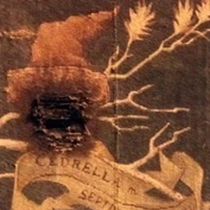 House Of Black Harry Potter Wiki Fandom