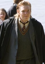 Petermalandrino