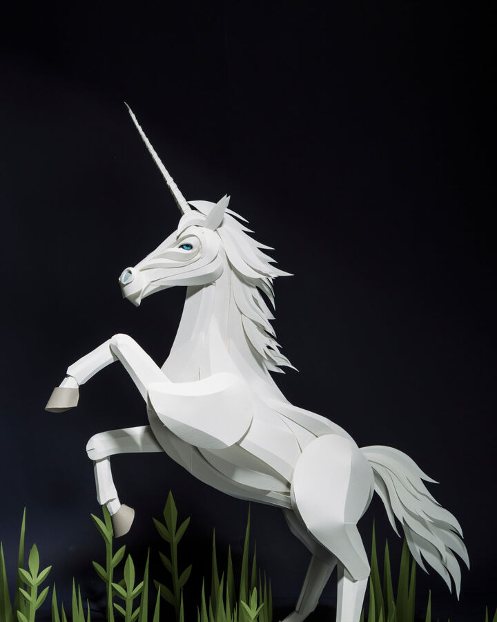 Unicorn Harry Potter Wiki Fandom