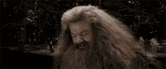 Sadhagrid.gif