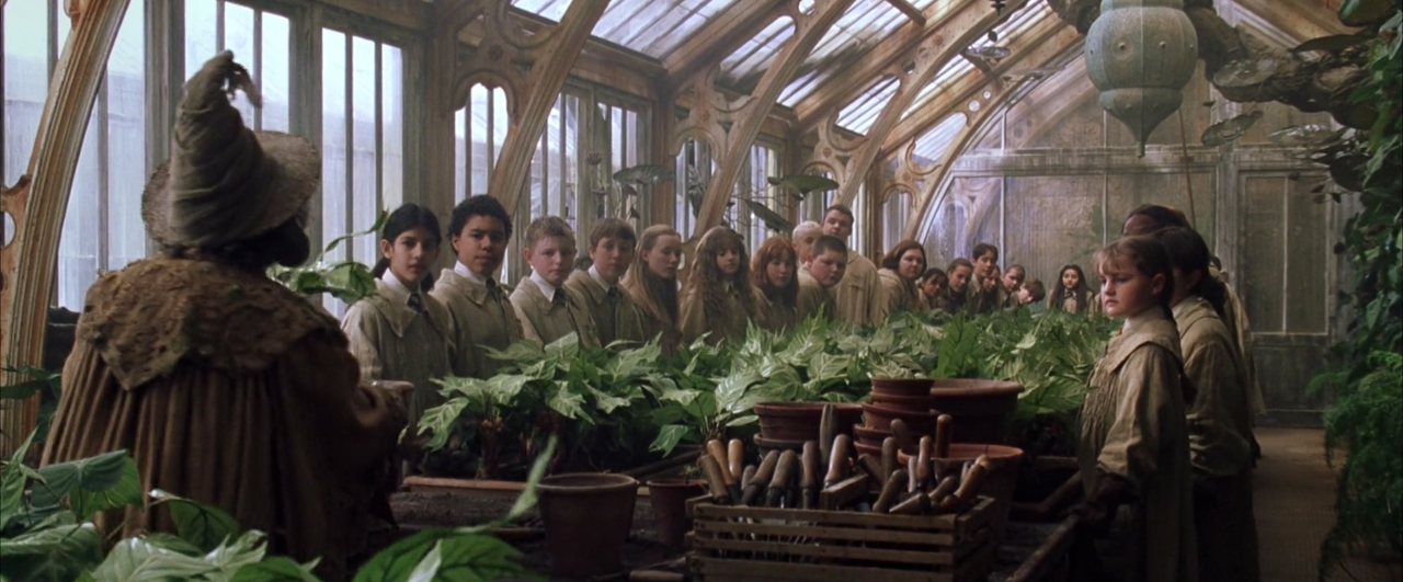 Herbology classroom | Harry Potter Wiki | Fandom