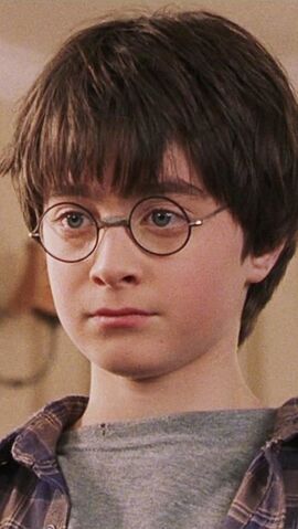 File:Harry-potter1-disneyscreencaps.com-1404.jpg