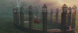 Quidditch pitch 2