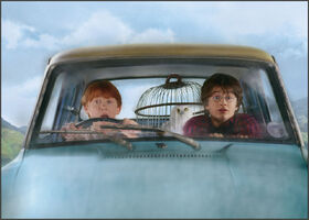 RonHarry1