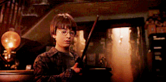 PS Harry getting his wand