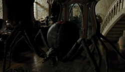 Spinne