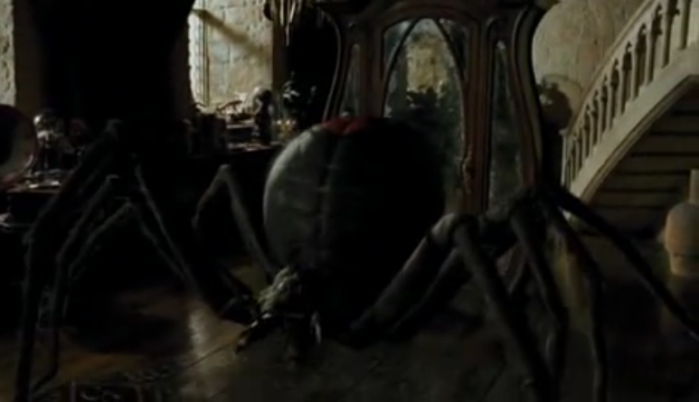 Spinne Harry Potter Spinne Harry Potter