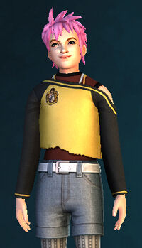Tonks HPHM