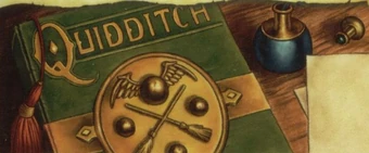 Le Quidditch A Travers Les Ages Wiki Harry Potter Fandom