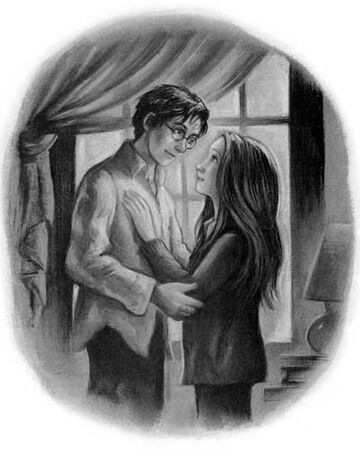Harry Potter S Seventeenth Birthday Harry Potter Wiki Fandom