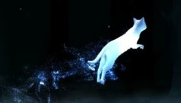 Wildcat-patronus