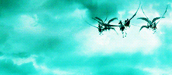 Abraxans
