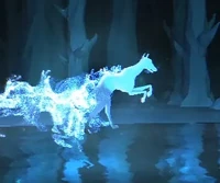 IbizanHound-patronus