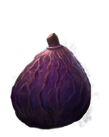 ShrivelfigPottermore
