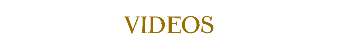 Hp-wiki-videos