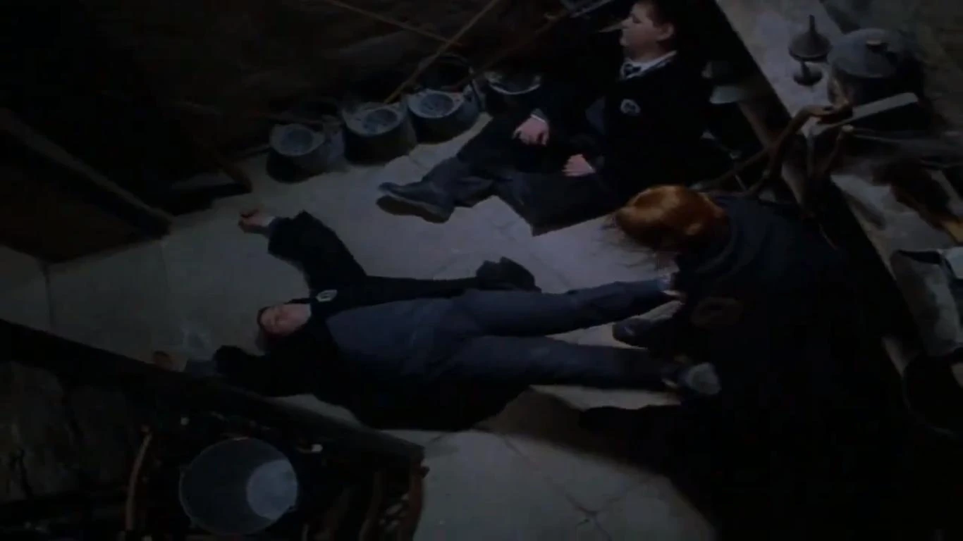 Broom Cupboard Harry Potter Wiki FANDOM powered by Wikia