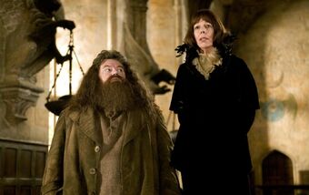 Image result for goblet of fire maxine