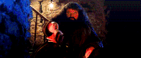 Hagrid conjuring fire