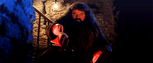 https://vignette.wikia.nocookie.net/harrypotter/images/6/6a/Hagrid_conjuring_fire.gif/revision/latest?cb=20150906134637&amp;path-prefix=ru
