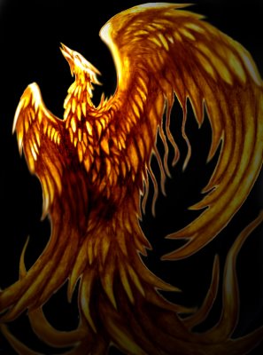 pheonix bird pictures