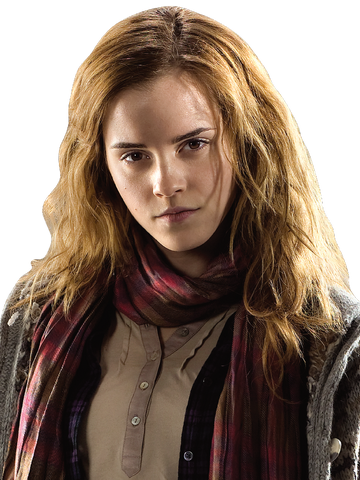 Image - Hermione Granger HS TDH.png | Harry Potter Wiki | FANDOM ...