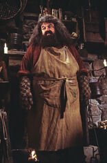 harry potter rubeus hagrid sorting hat