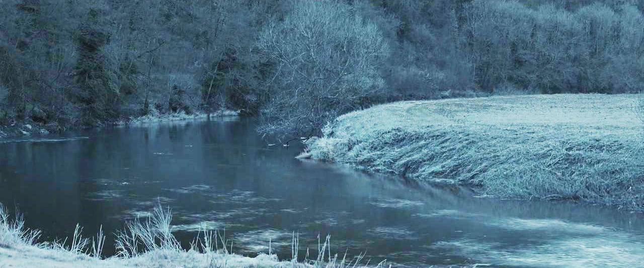 Hasil gambar untuk forest of dean harry potter