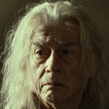 Hornbeam Harry Potter Wiki Fandom