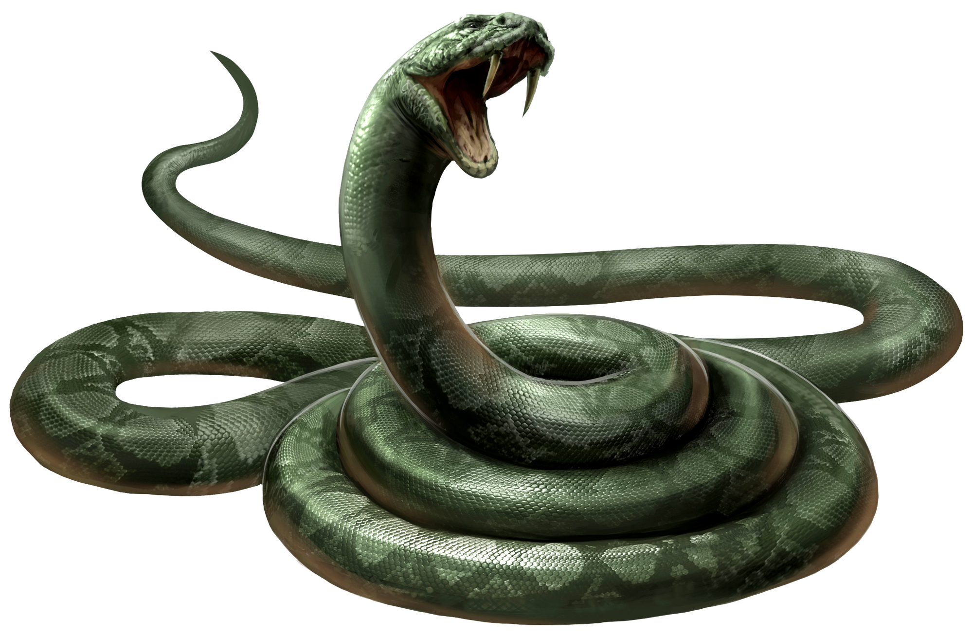 Snake Harry Potter Wiki Fandom Powered By Wikia - cool names boys snakes