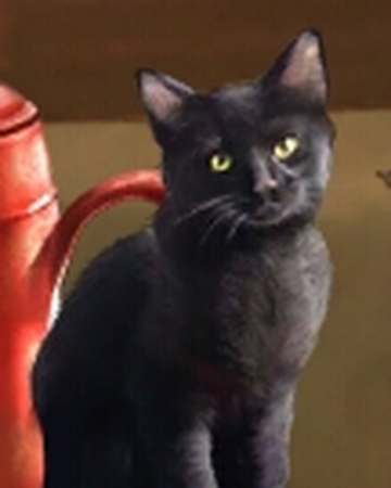 Silas Crump S Cat Harry Potter Wiki Fandom