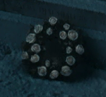 Hermiones flowers