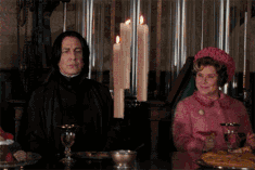 Umbridge and Snape