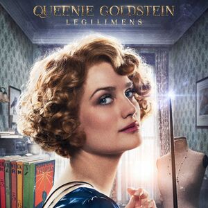 Fantastic Beasts And Where To Find Them Film Harry Potter Wiki Fandom