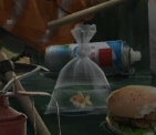Goldfish