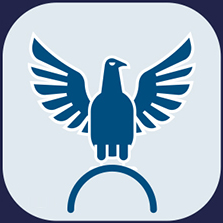 EagleHat