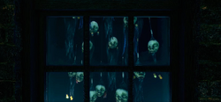 NogginAndBonceWindow