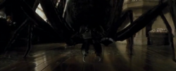 Spinne2