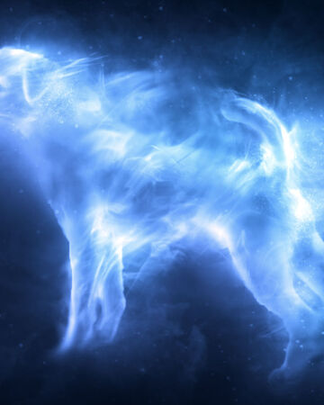 Jack Russell Terrier Harry Potter Wiki Fandom