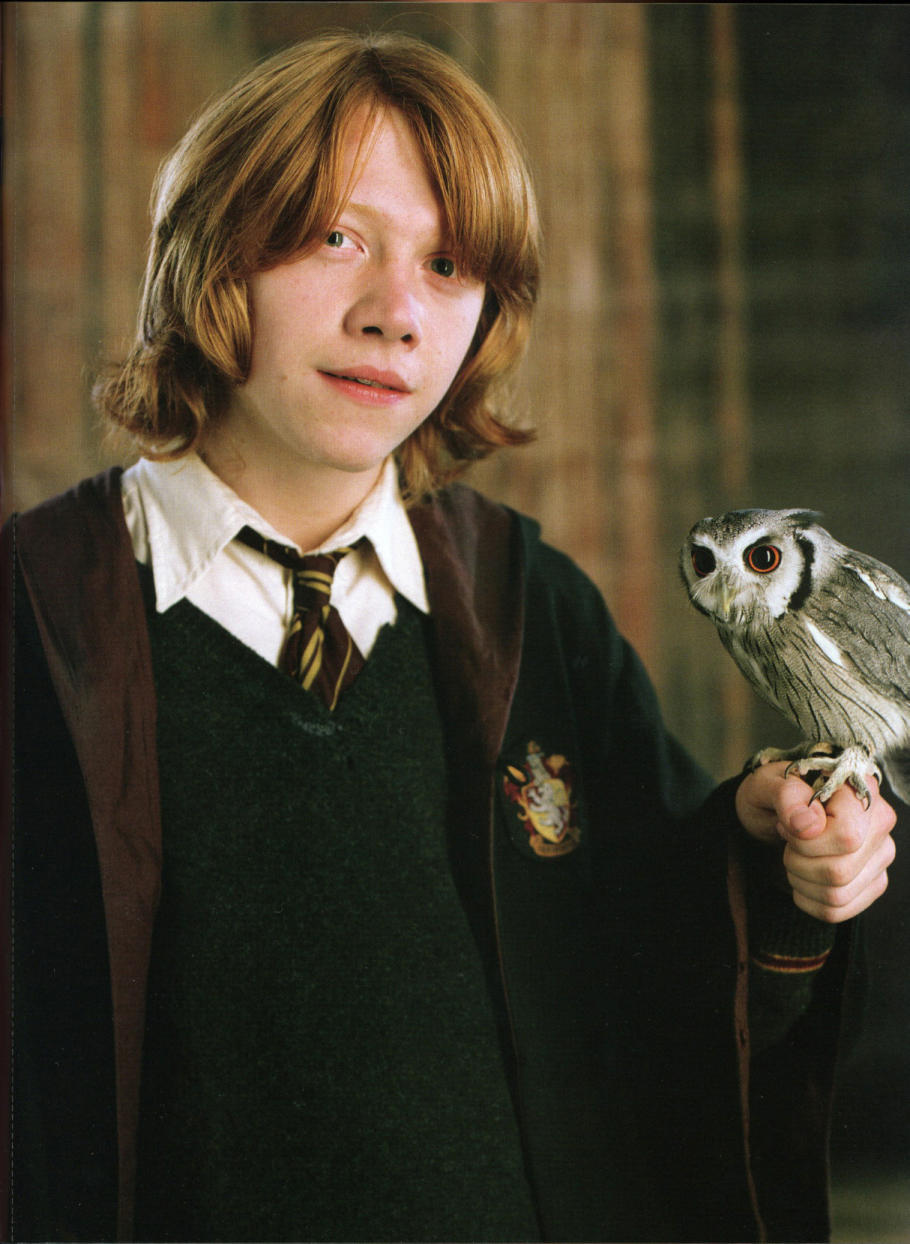 Afbeeldingsresultaat voor harry potter pigwidgeon