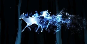 Pottermore Doe