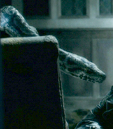 Nagini 002