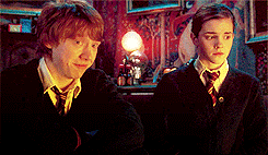 Ron-Hermione-Harry-Potter-The-Order-of-The-Phoenix-romione-28100814-245-142.gif