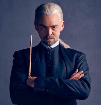 Draco Malfoy Harry Potter Wiki Fandom